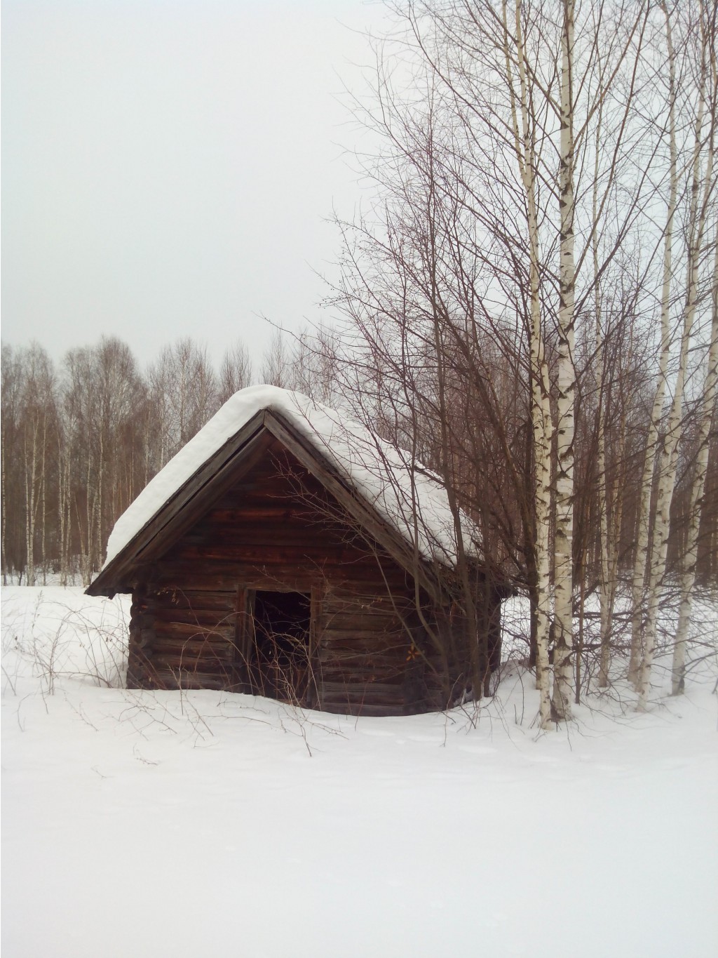 IMG_20150308_162945.jpg
