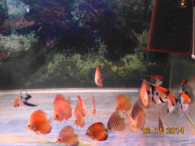 getImage (10).jpg