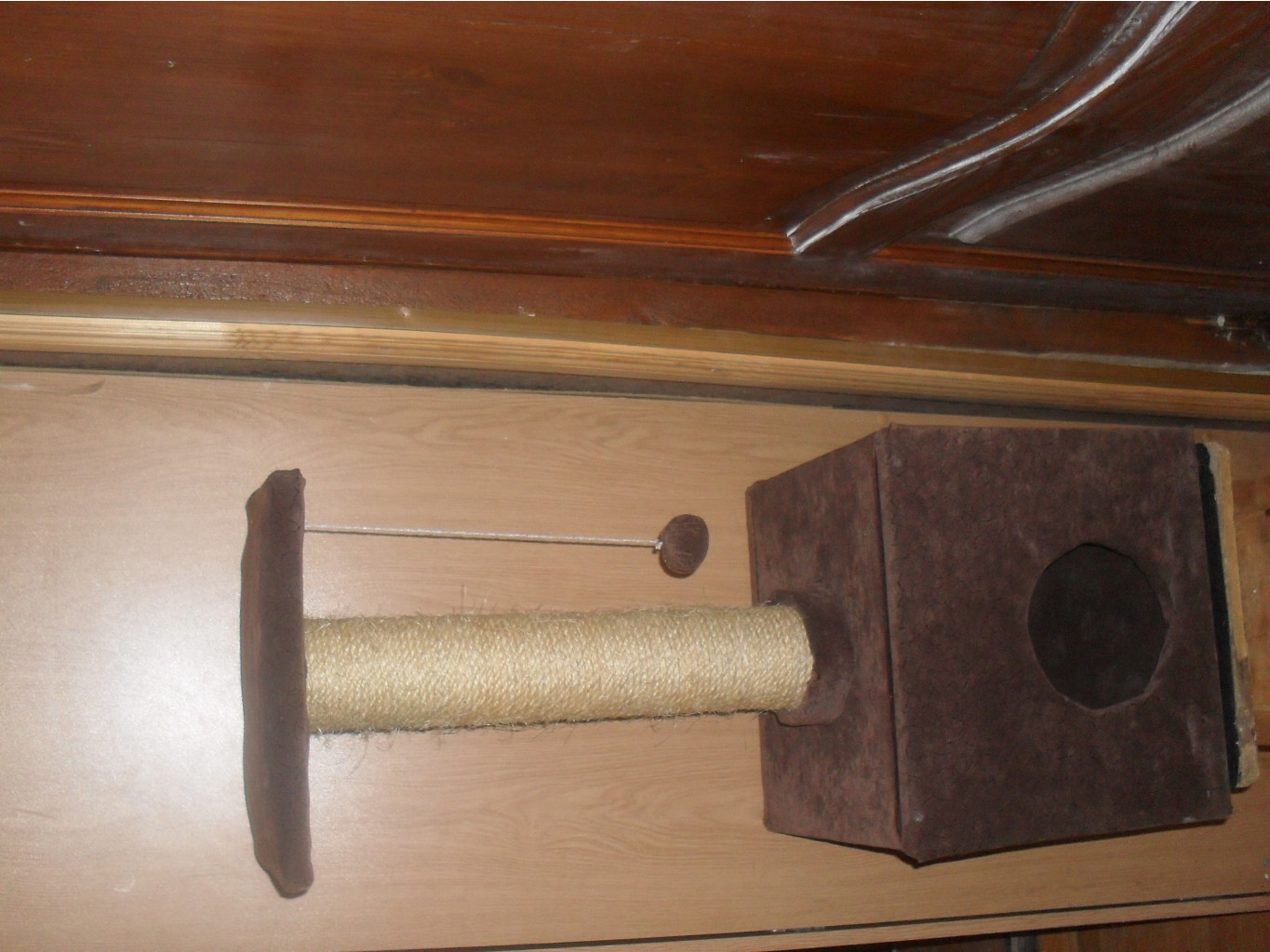 SDC12344.JPG