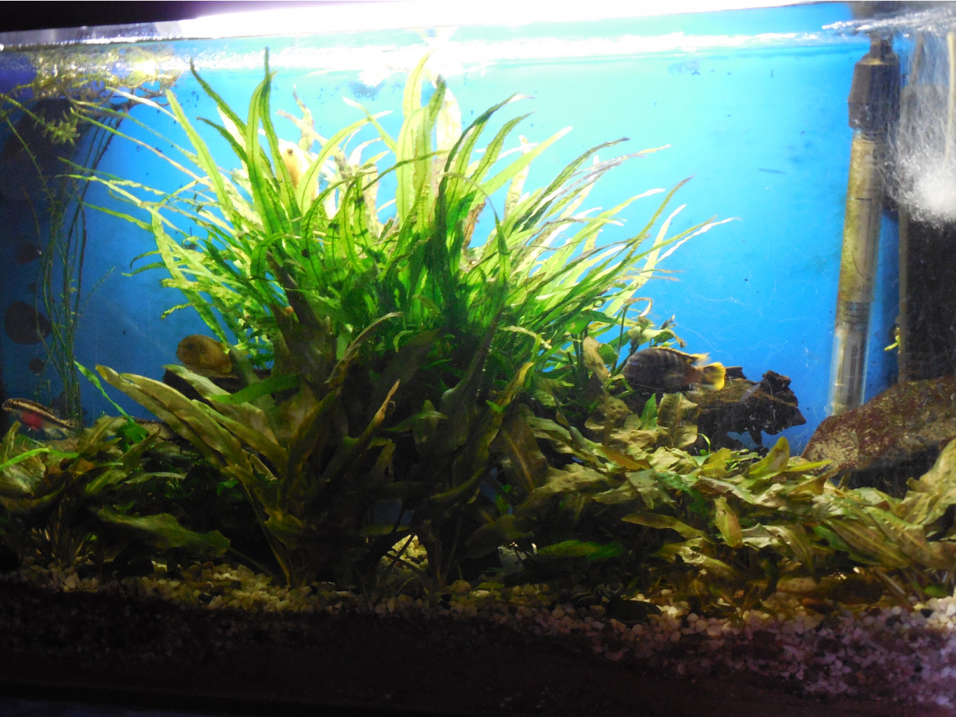 DSCN0219.JPG