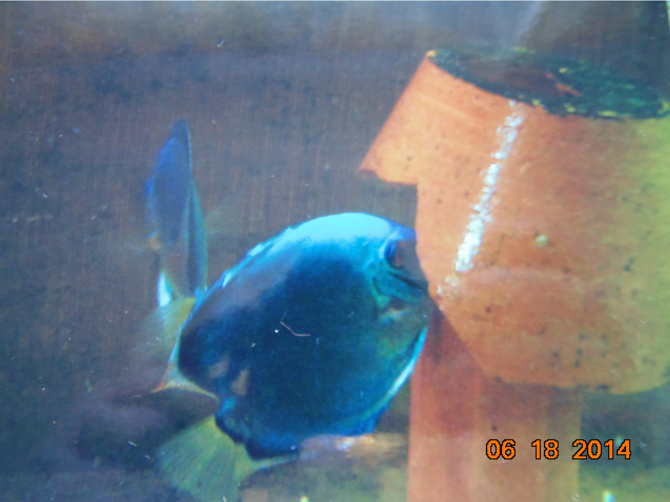 DSC01278.JPG