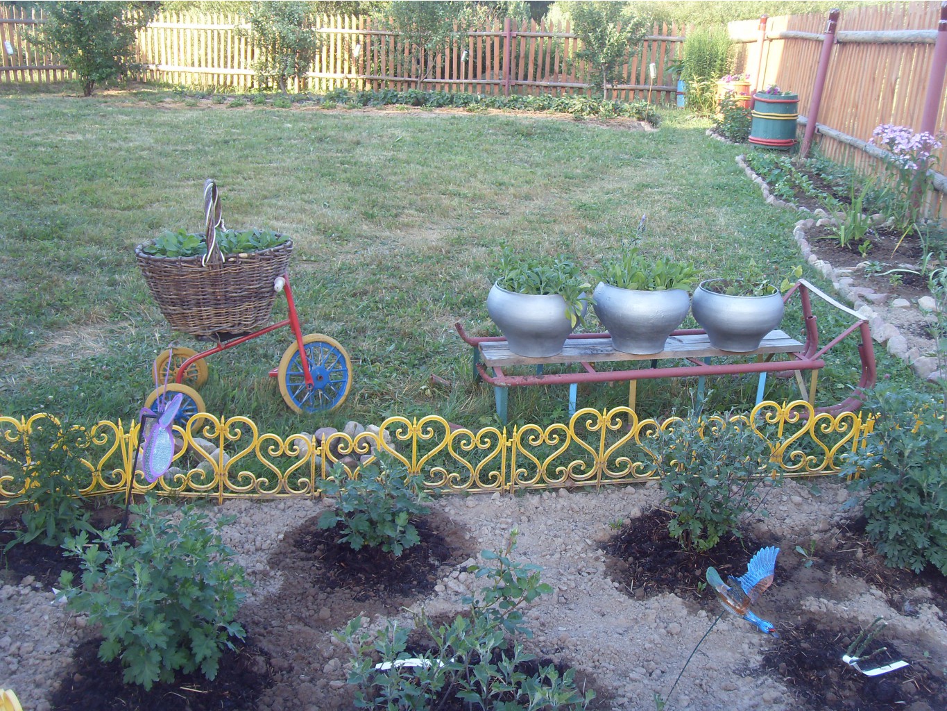 SDC14018.JPG