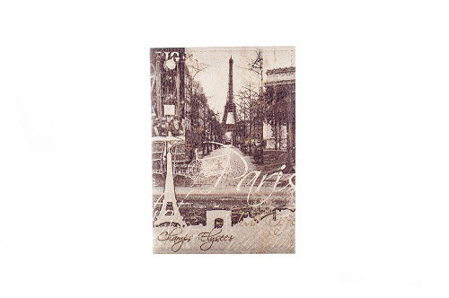 Обложка на паспорт Paris.jpg