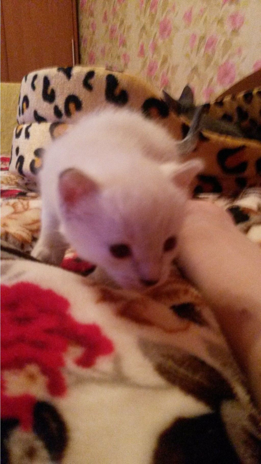 20150315_201603.jpg