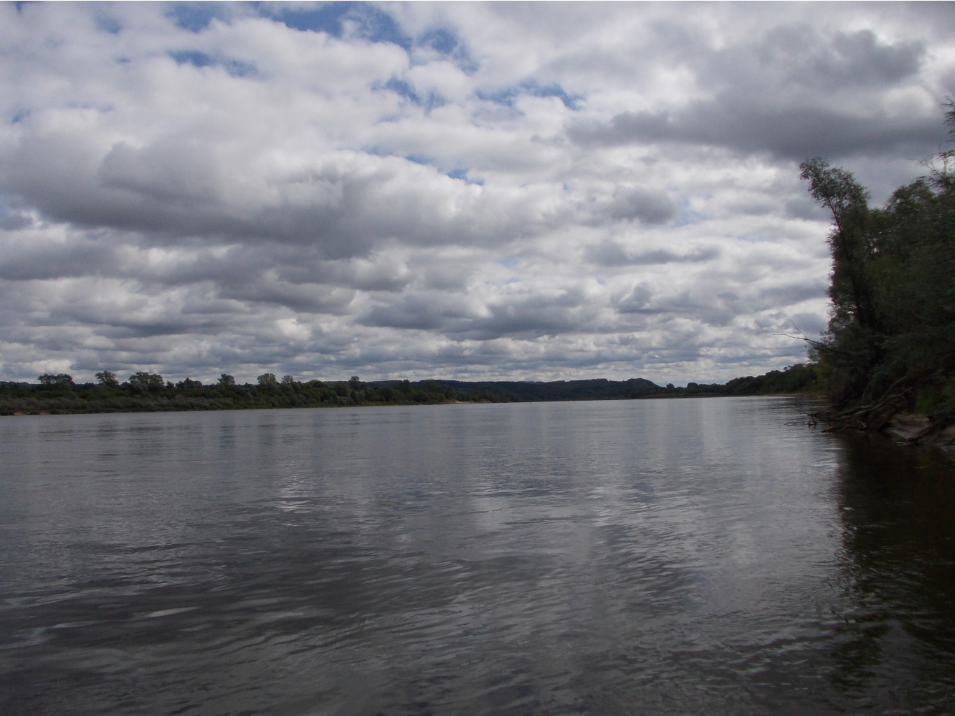 DSCN0010.JPG