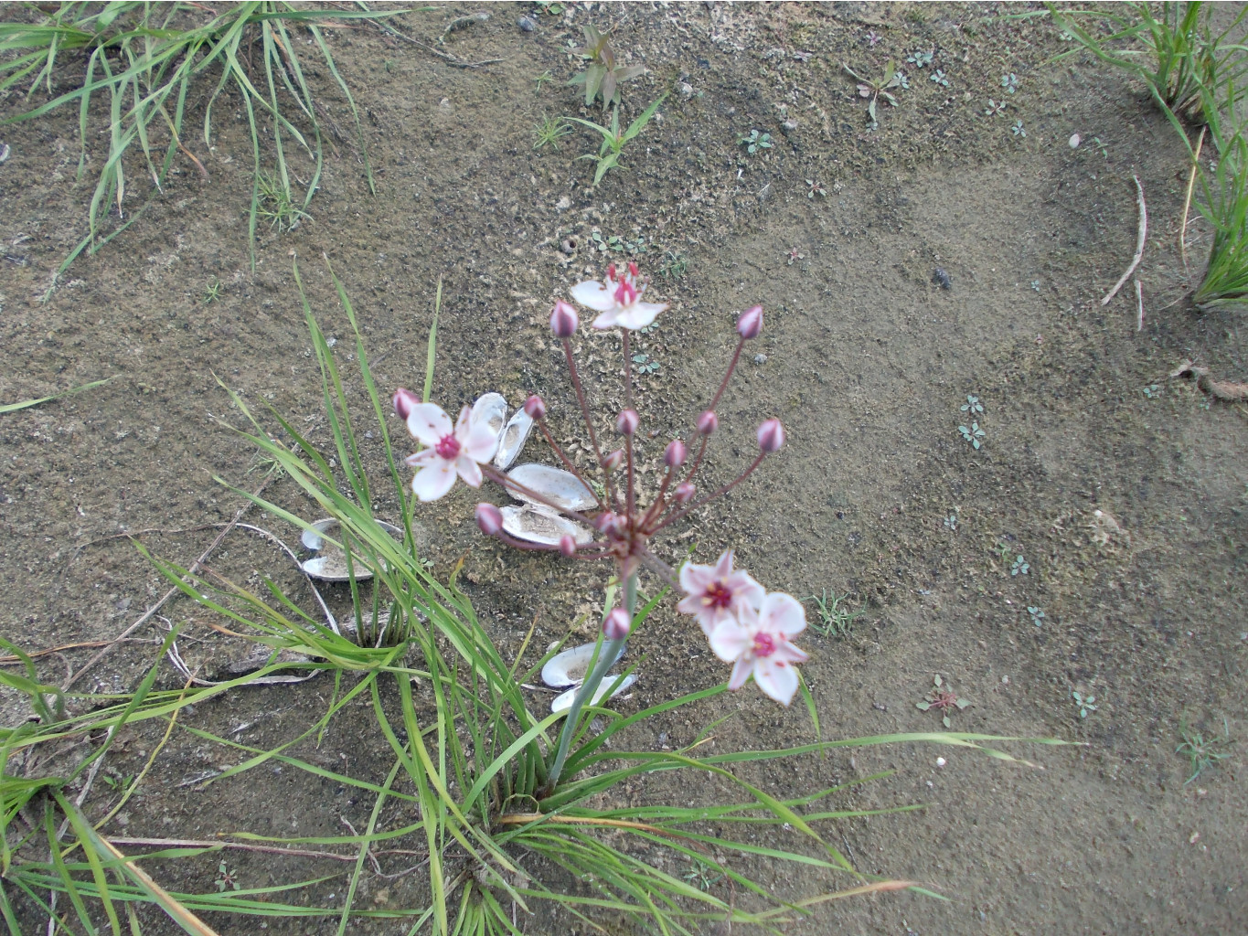 DSCN0016.JPG