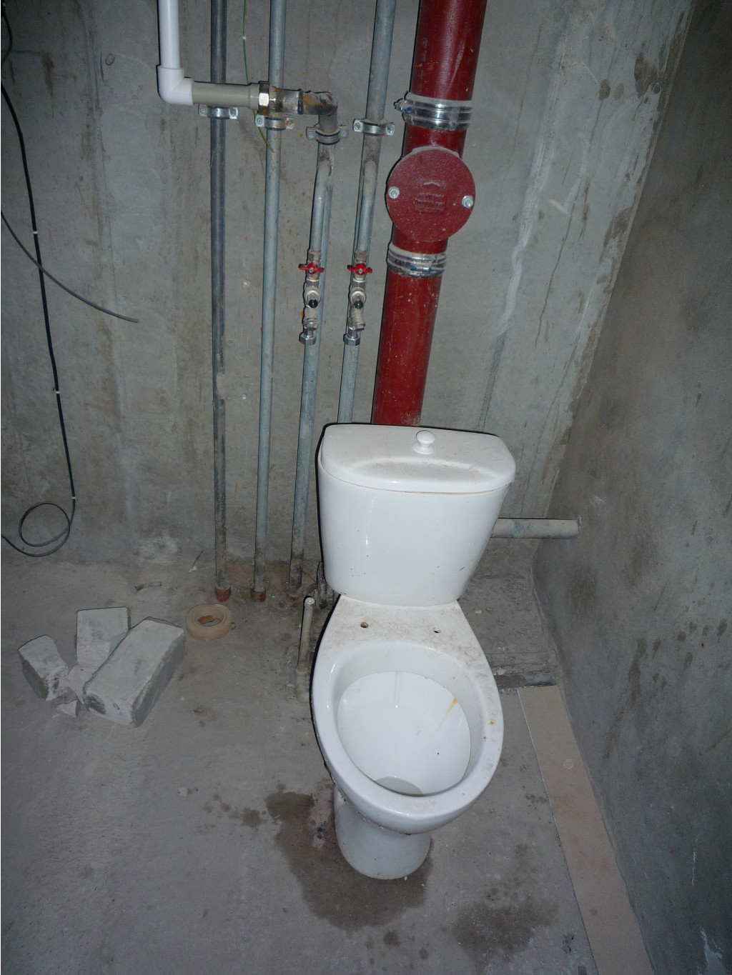 P1060003.JPG