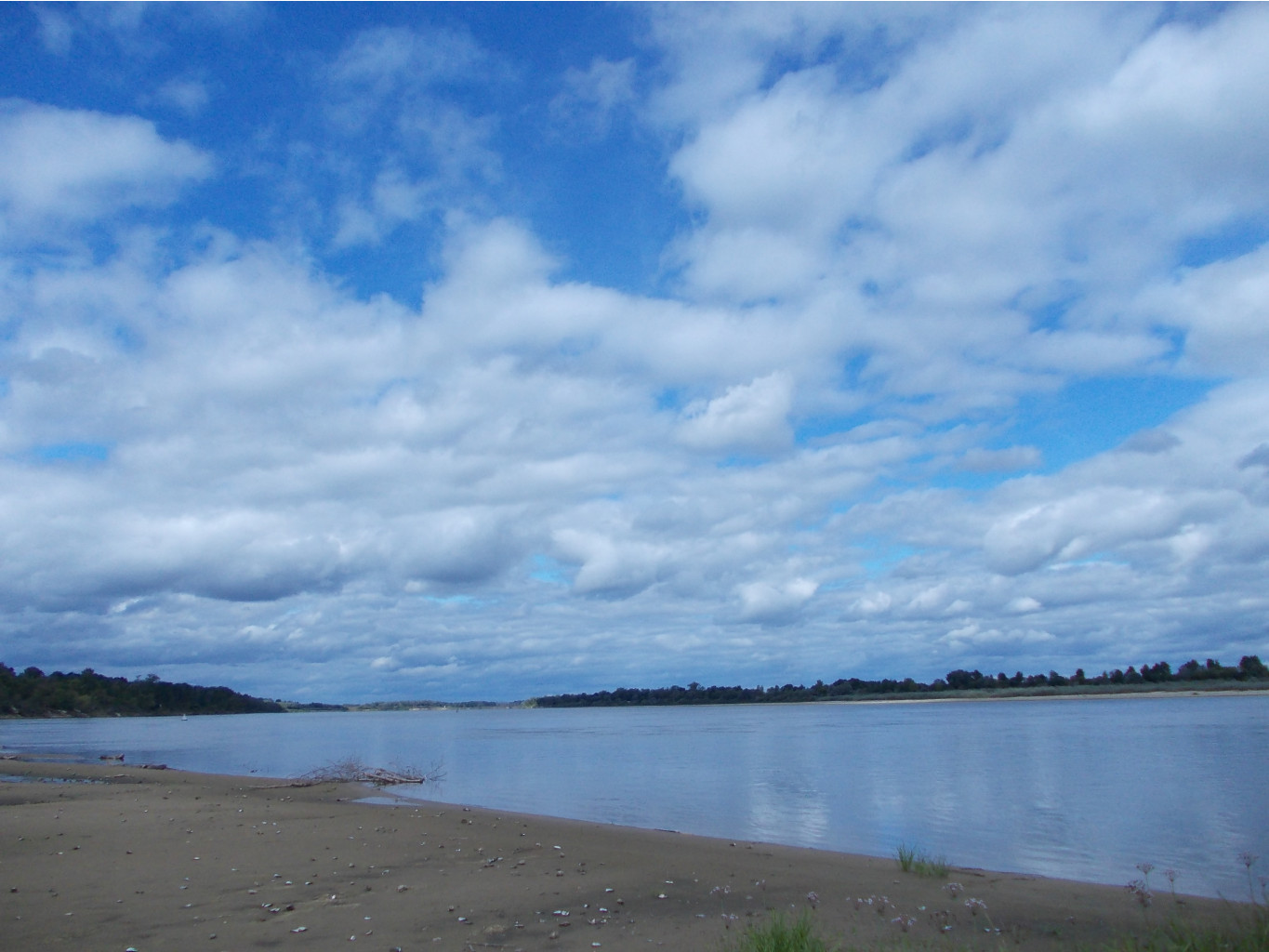 DSCN0015.JPG