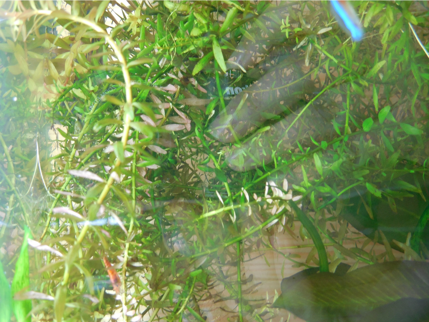 DSCN0025.JPG