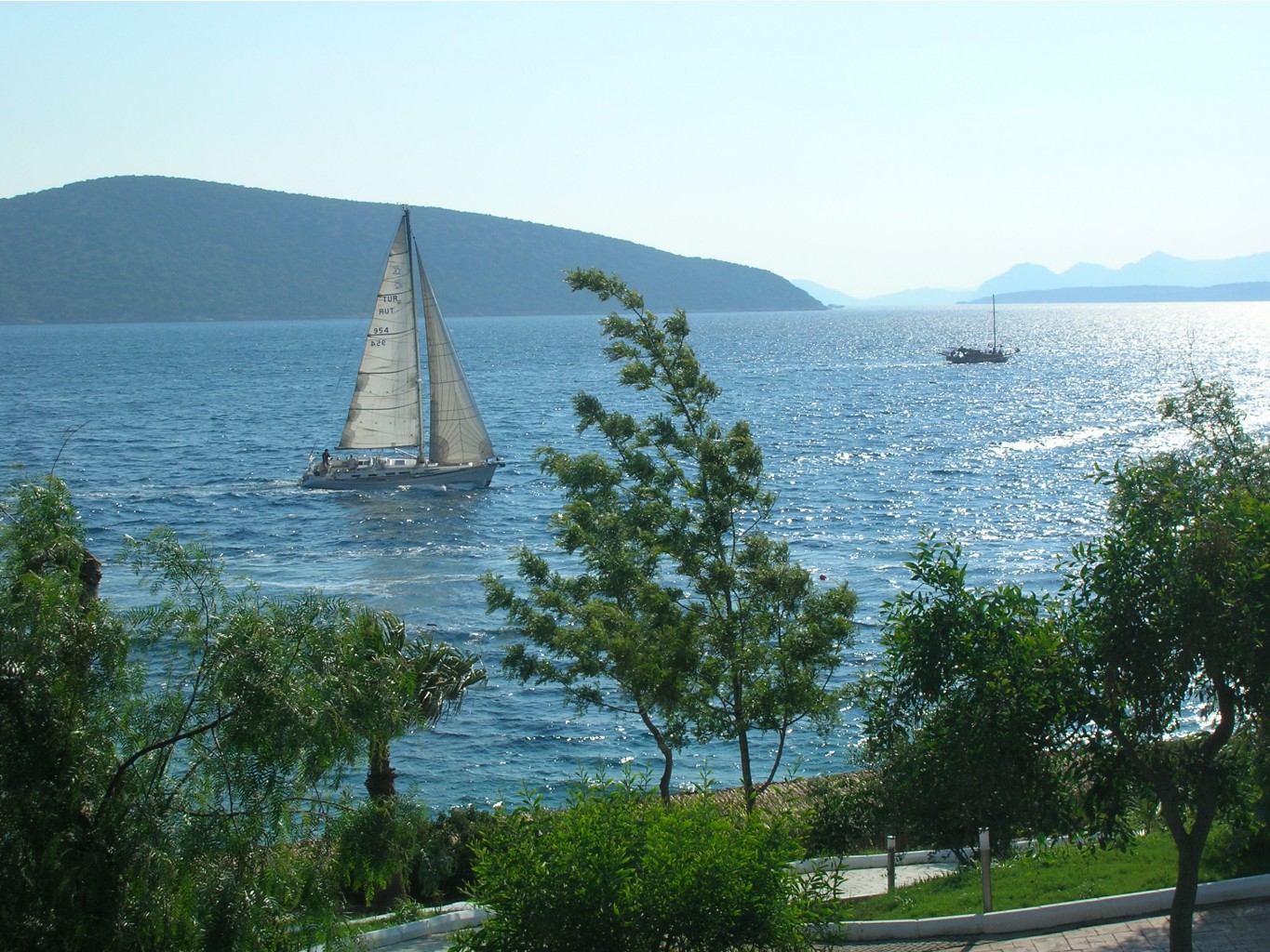 DSCN0134 - .JPG