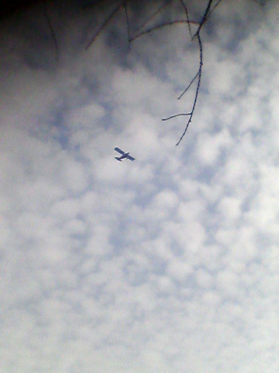IMG_20150321_103539.jpg