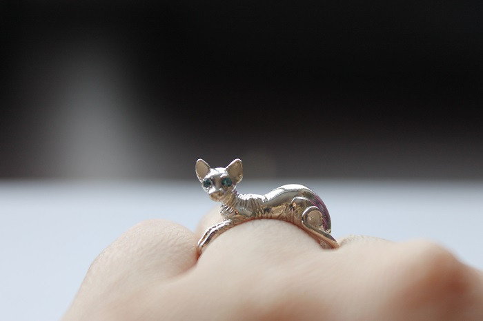 Кошка сфинкс.