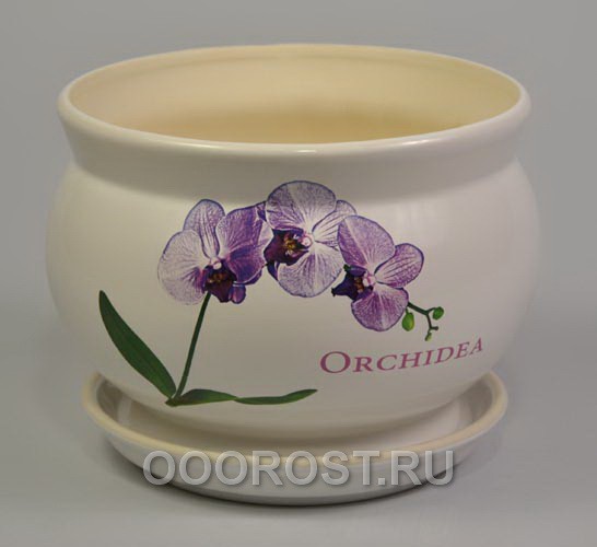     ORCHIDEA 012-2-044.jpg