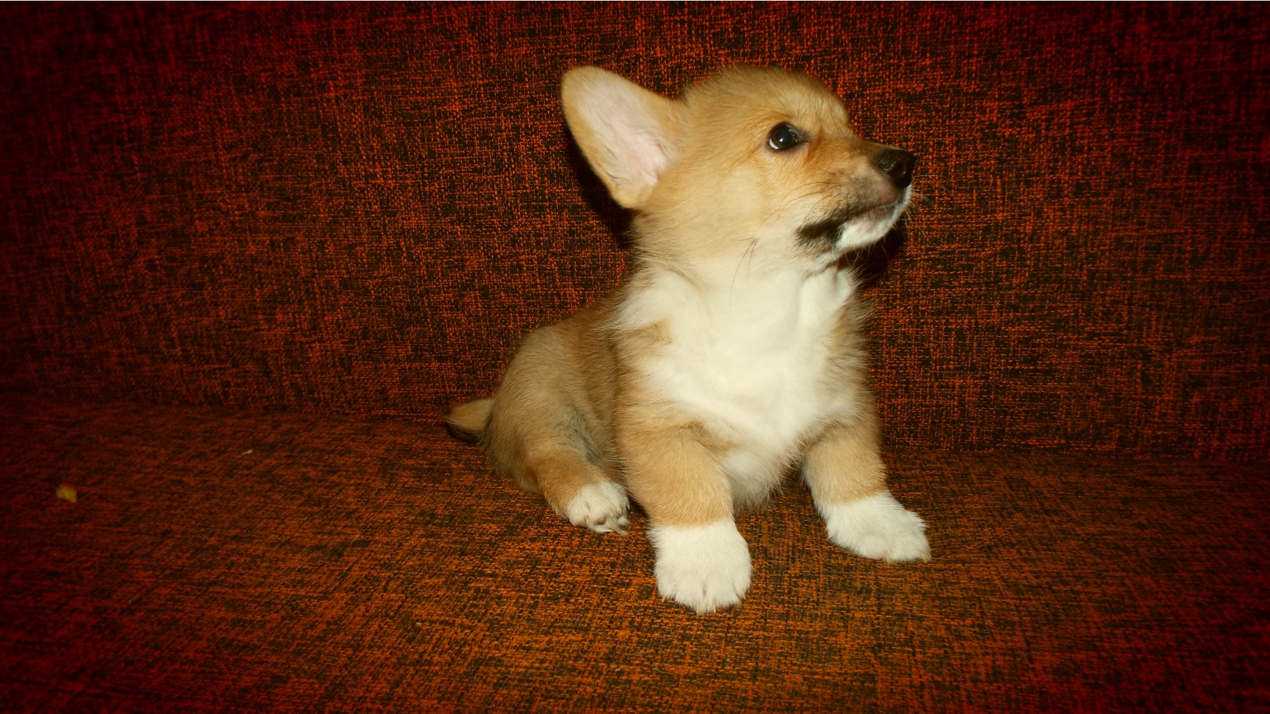 DSCF7095.JPG