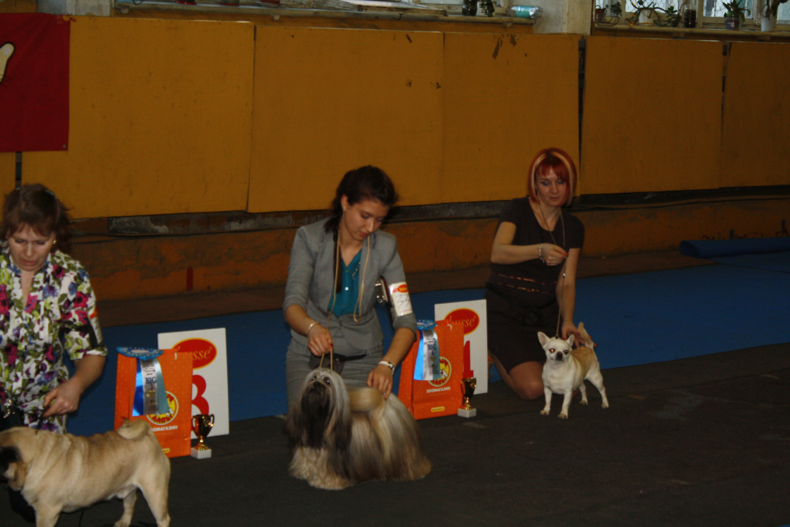 IMG_4741.JPG