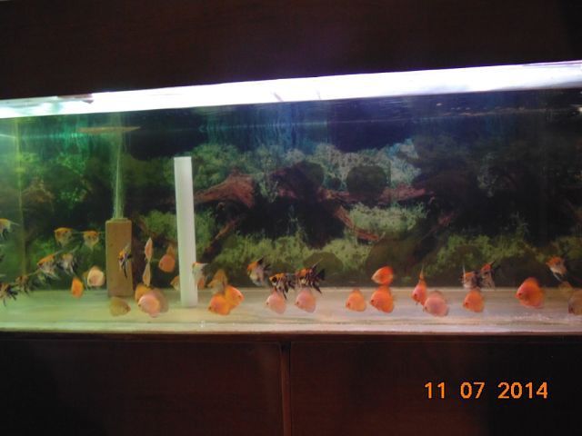 getImage (43).jpg