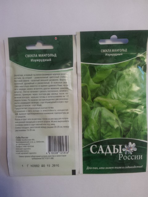 свекла мангольд изумрудный.jpg