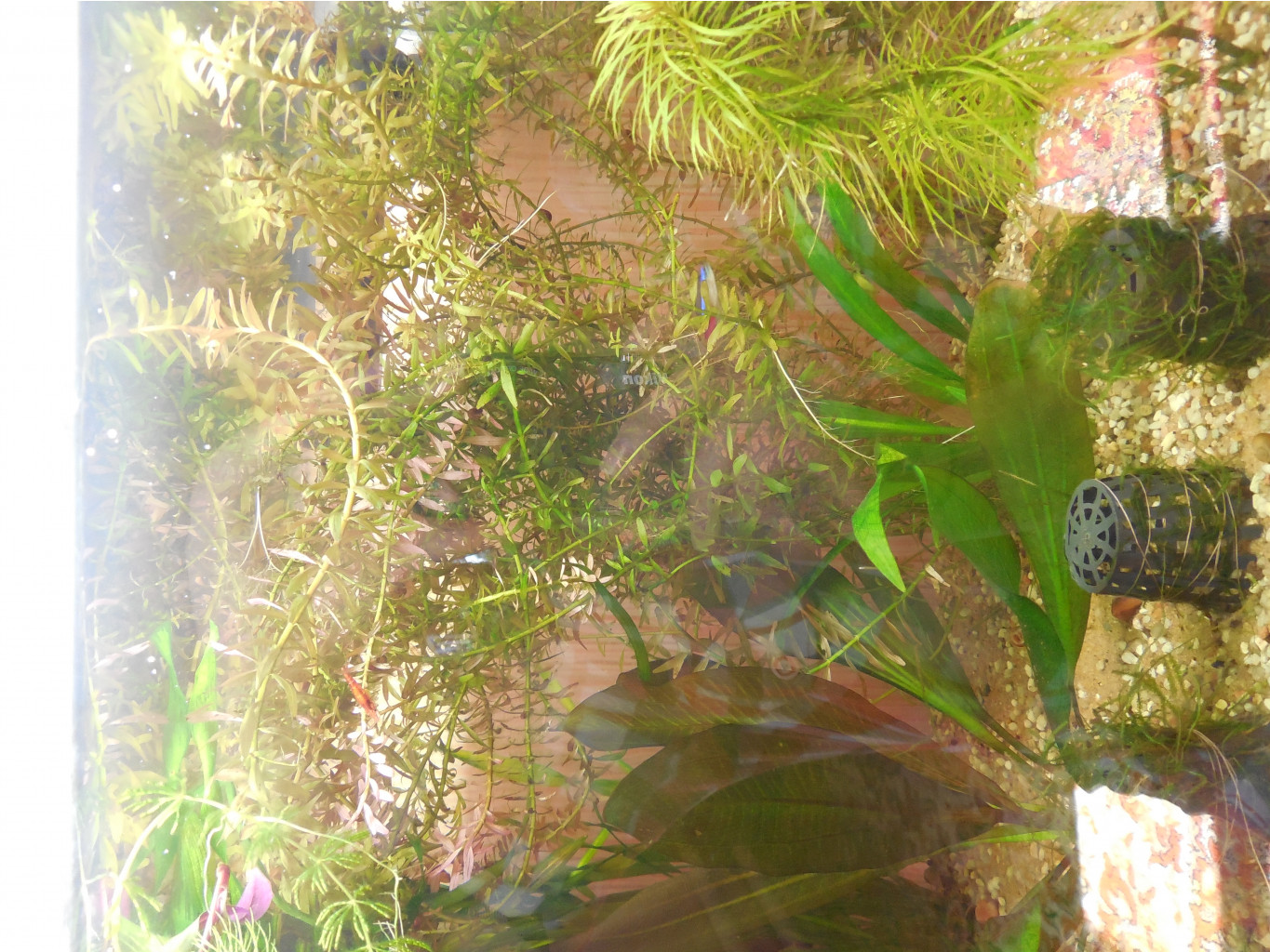 DSCN0027.JPG