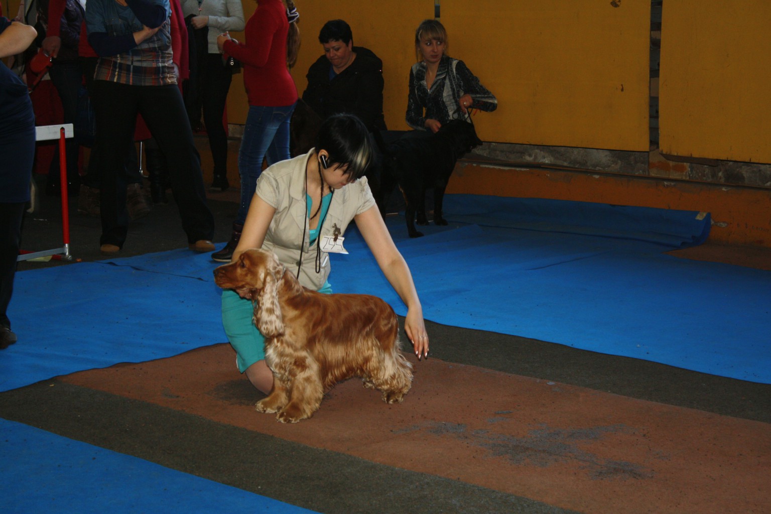IMG_4693.JPG