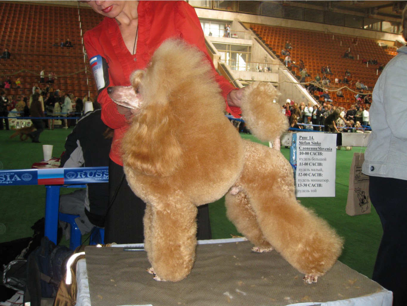 россия 021.jpg