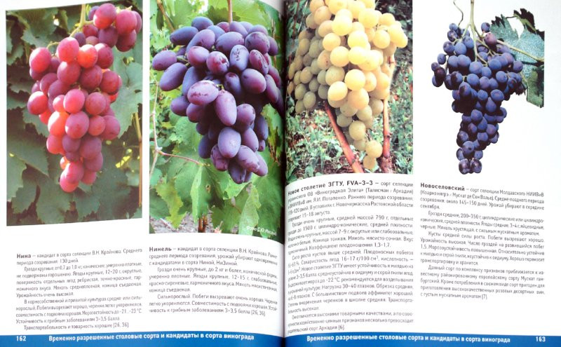 978-5-222-17402-9_ -  _.jpg