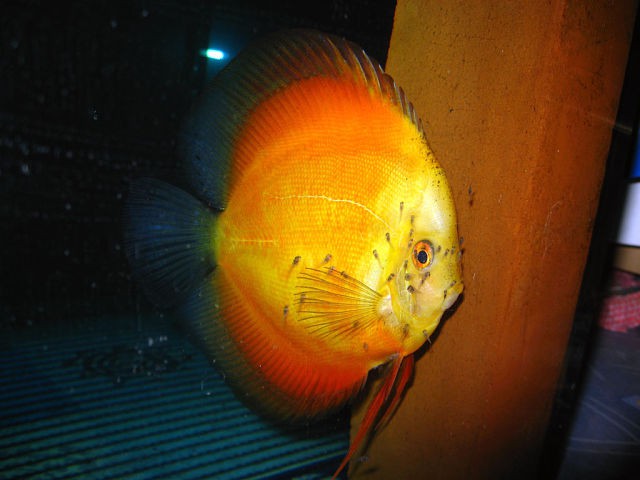 getImage (21).jpg