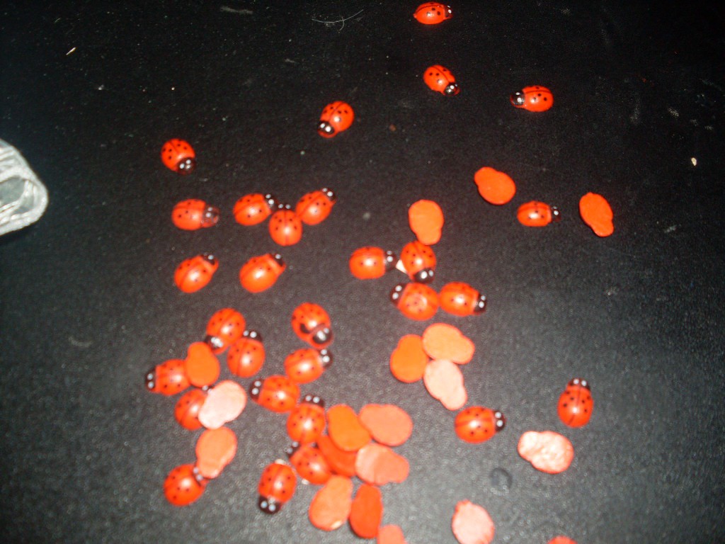 SDC10131.JPG