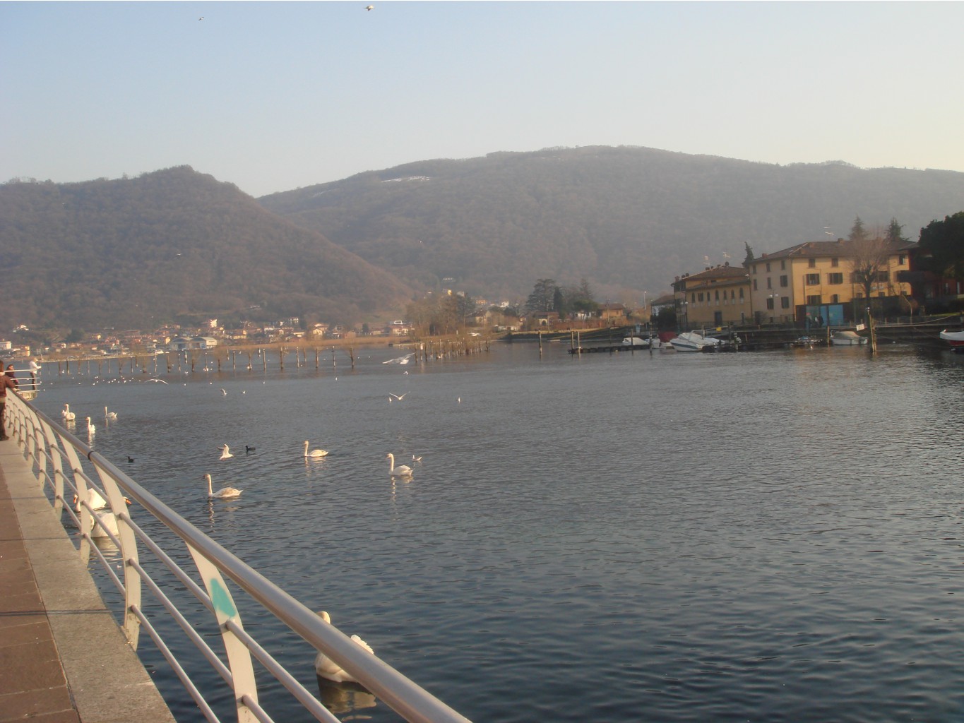 DSC02604.JPG