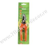 image302.jpg
