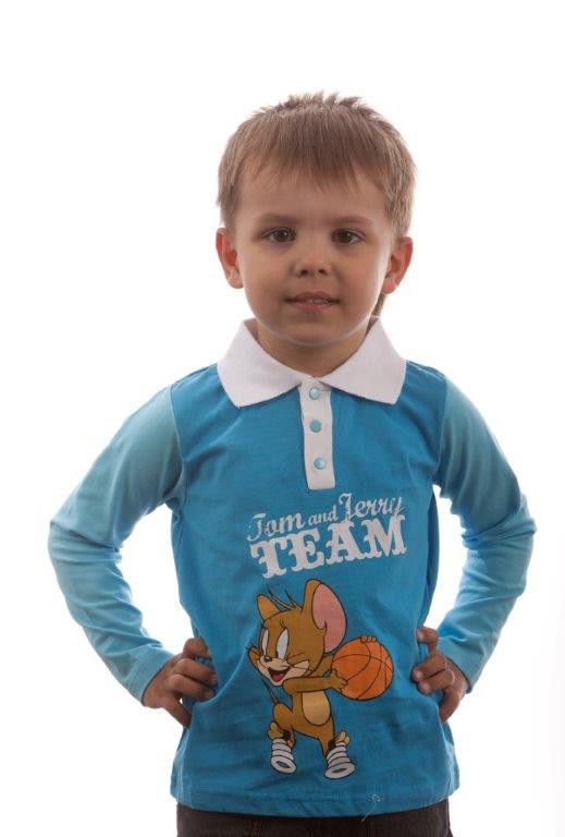 Джемпер для мальчика TJB-004 355 руб.jpg
