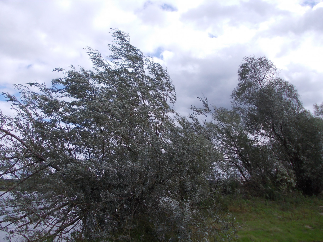 DSCN0021.JPG