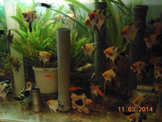 getImage (52).jpg