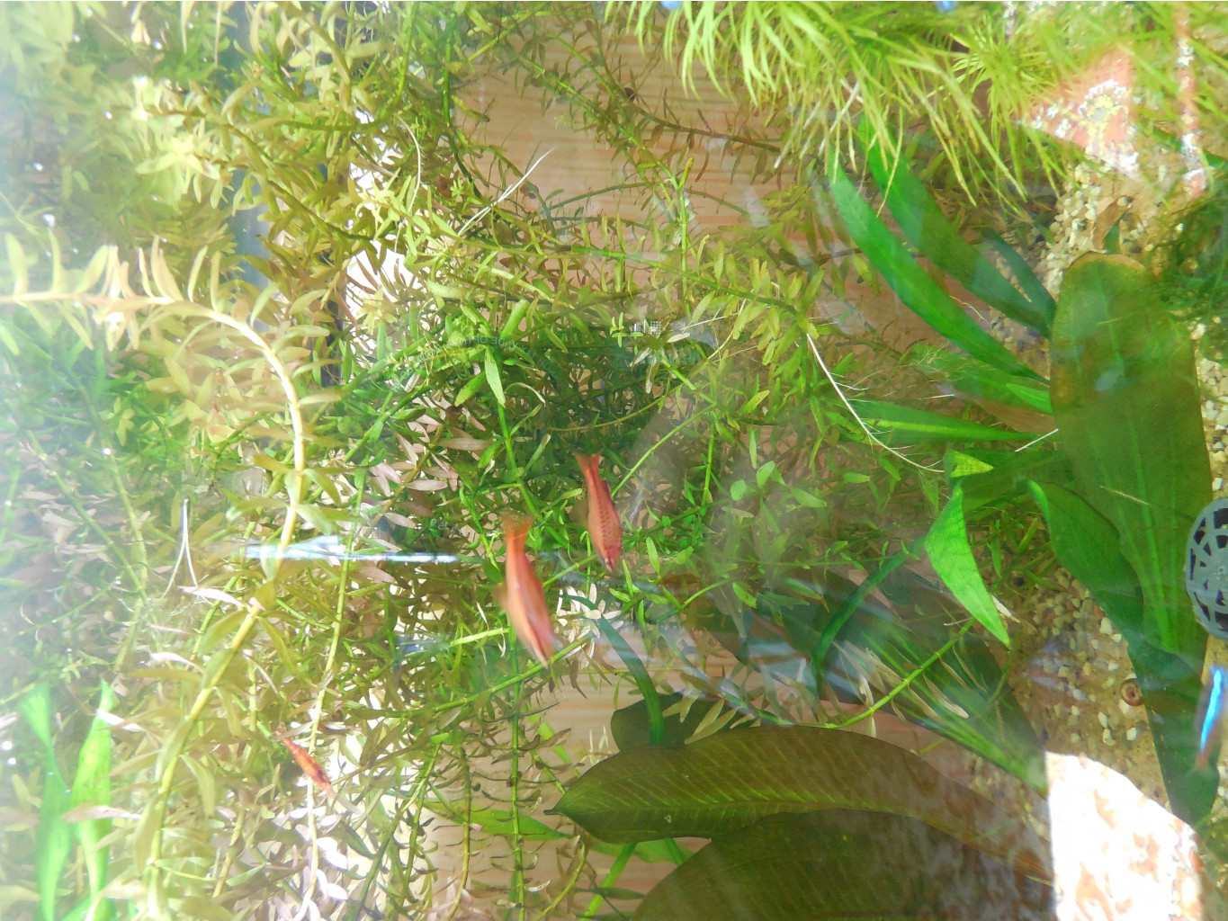 DSCN0028.JPG