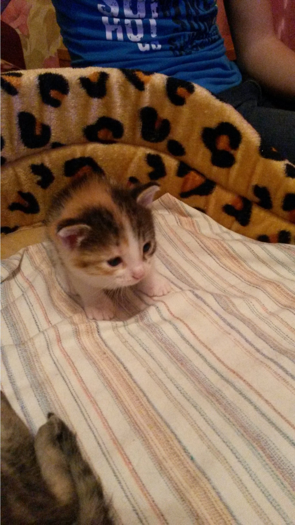 20150315_203958.jpg
