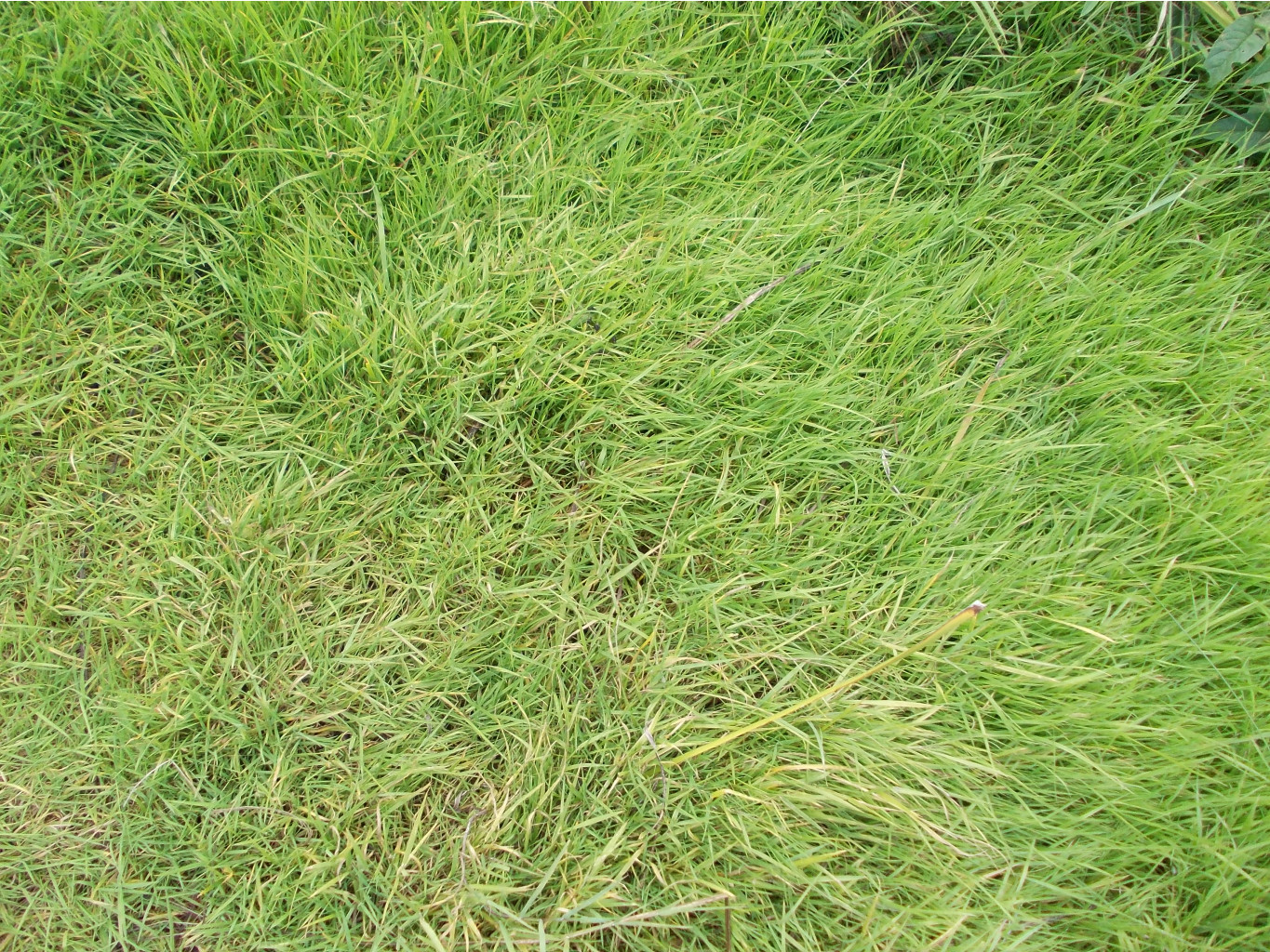 DSCN0020.JPG