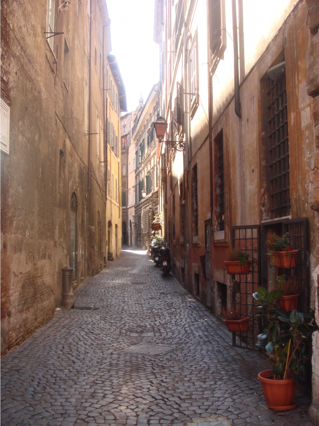 DSC02684.JPG
