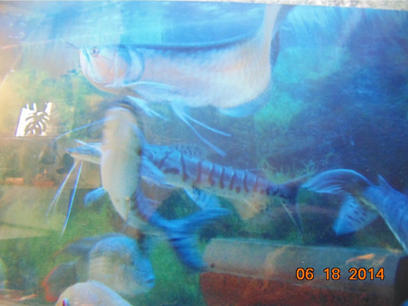 DSC01281.JPG