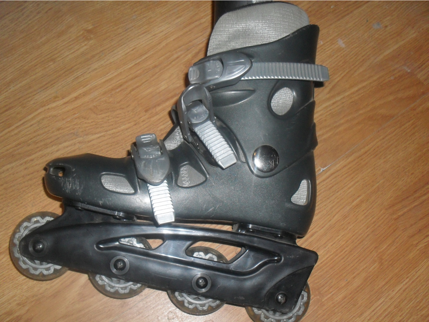 SDC12351.JPG
