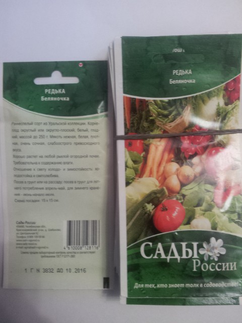 Редька Беляночка.jpg