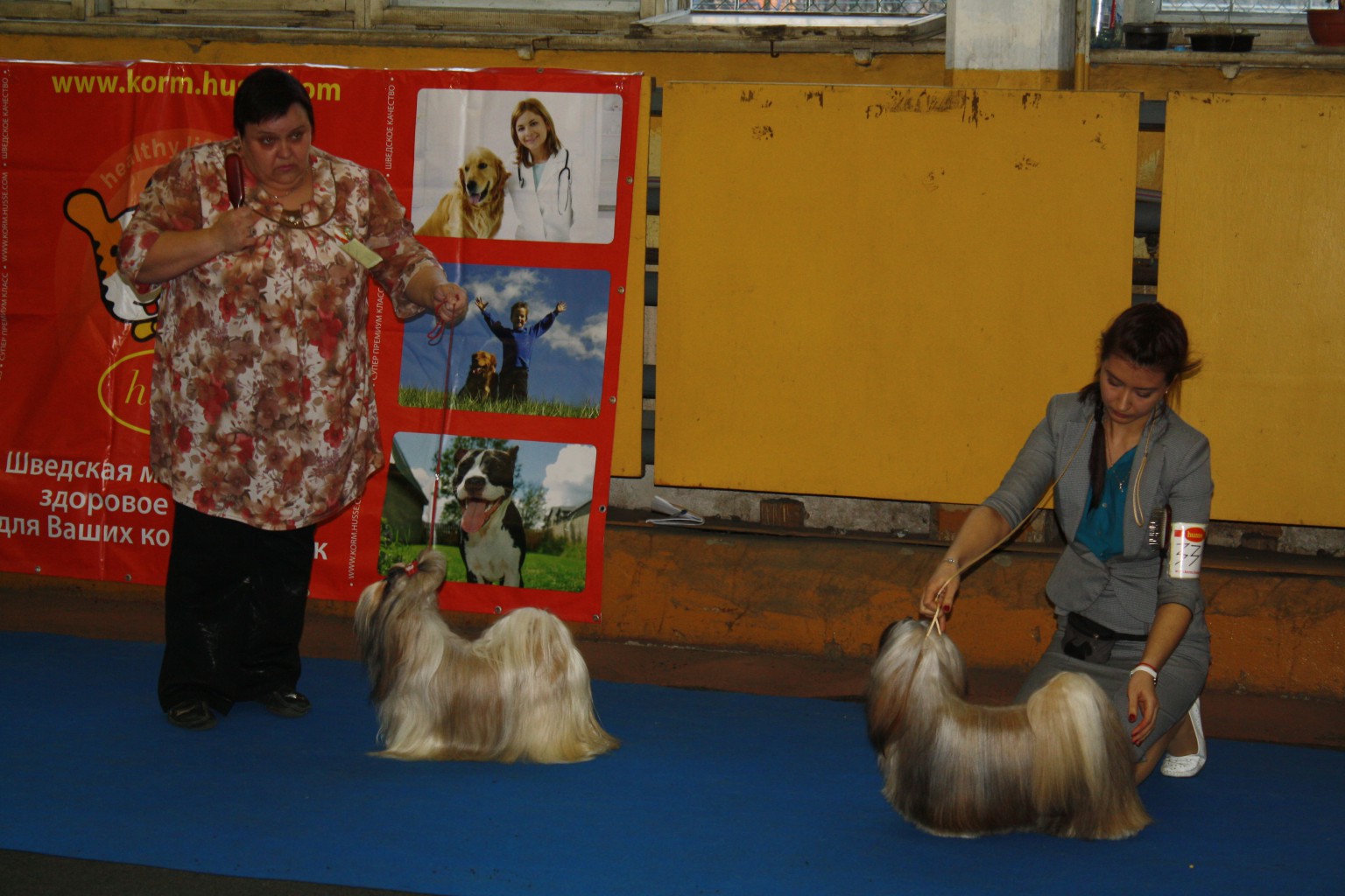 IMG_4739.JPG
