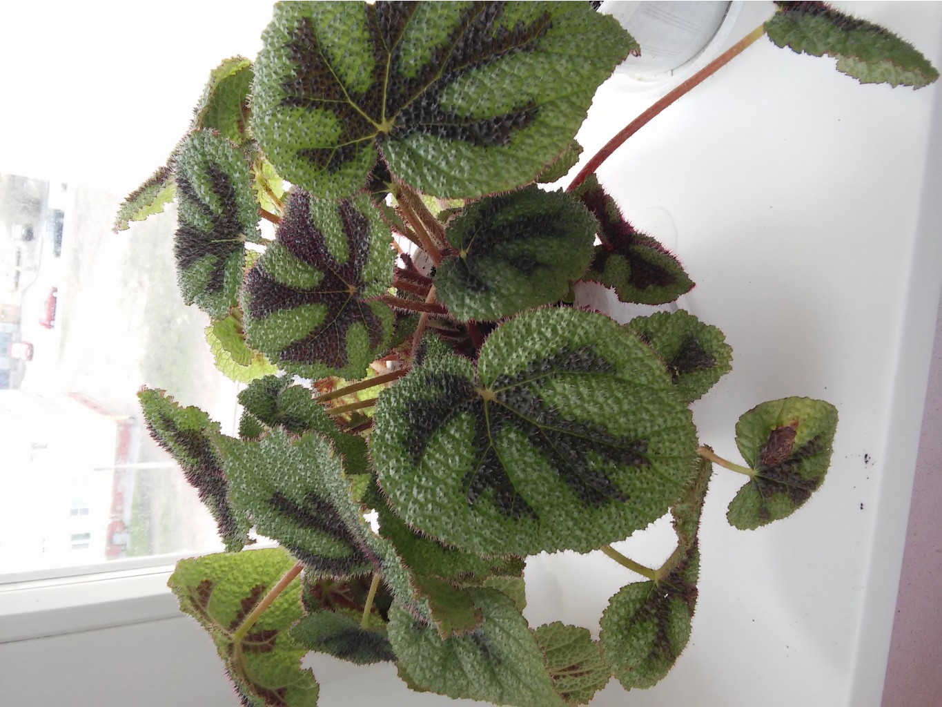 20150429_154131.jpg