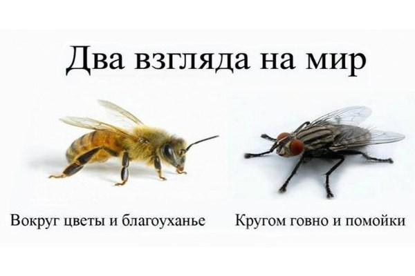 взгляд.jpg