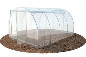 view_icon_photo (9).jpg