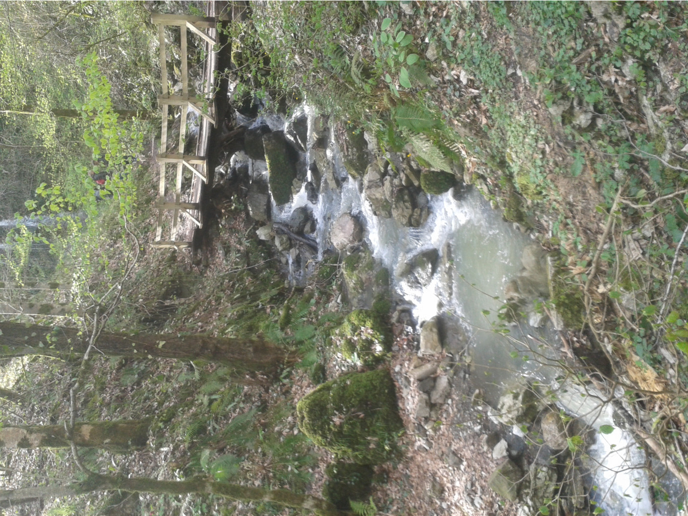20130101_094839.jpg