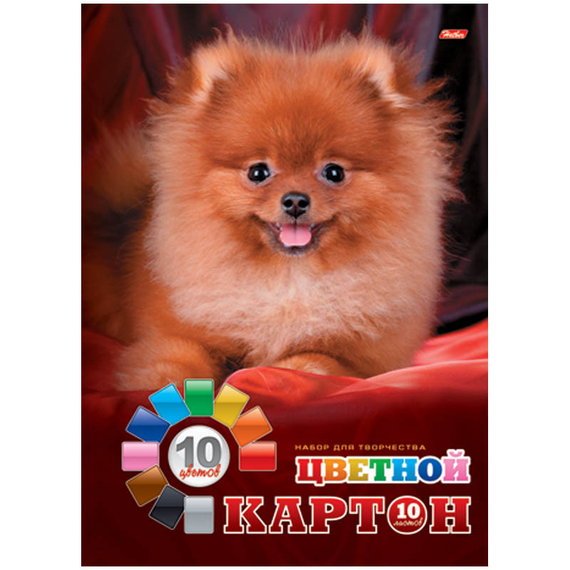 Картон цветной А4 10л. 10цв., в папке Хатбер 34,61.jpg