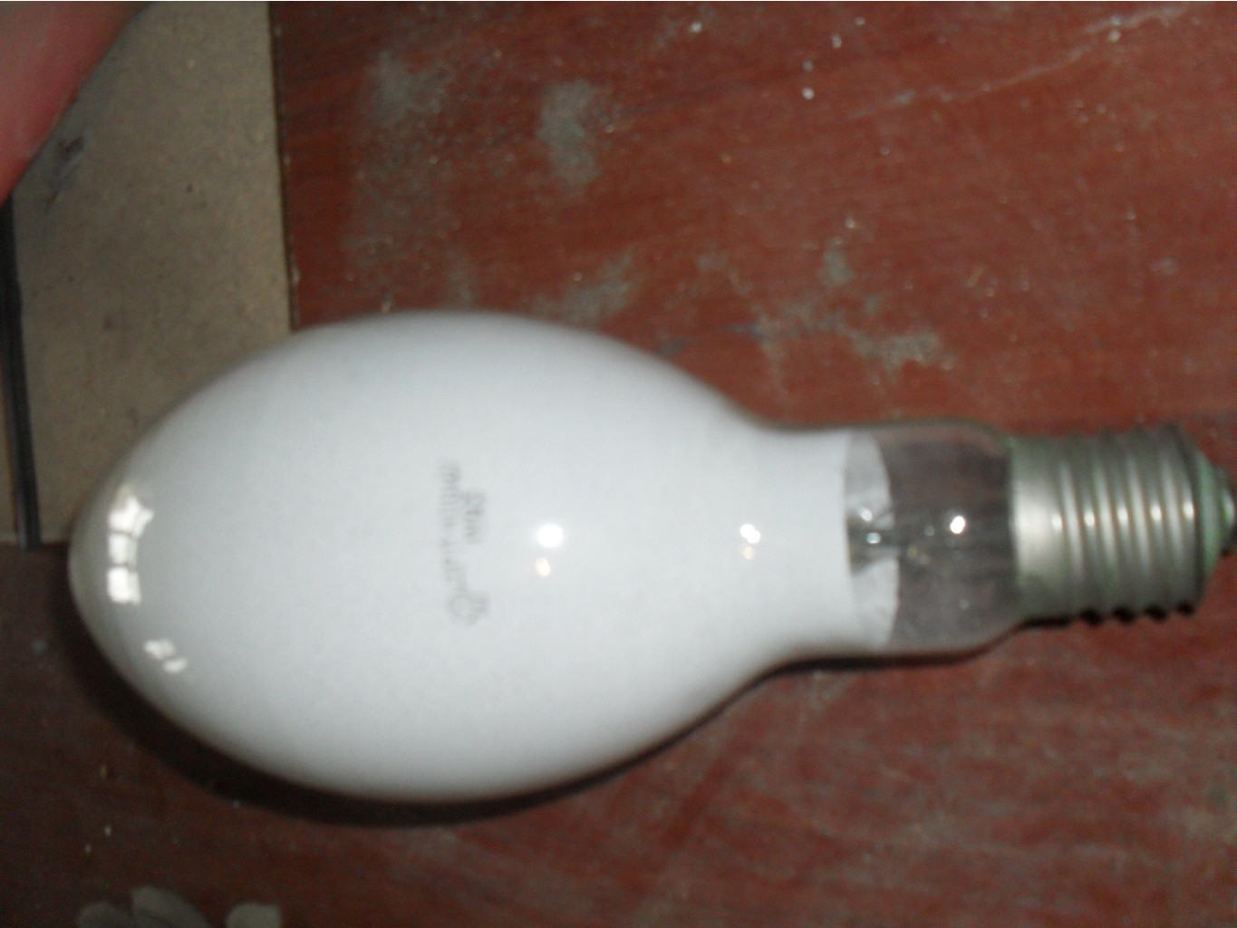 SDC12570.JPG