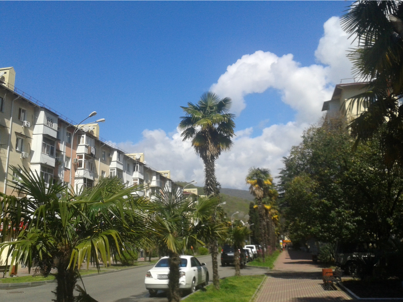 20150405_112549.jpg