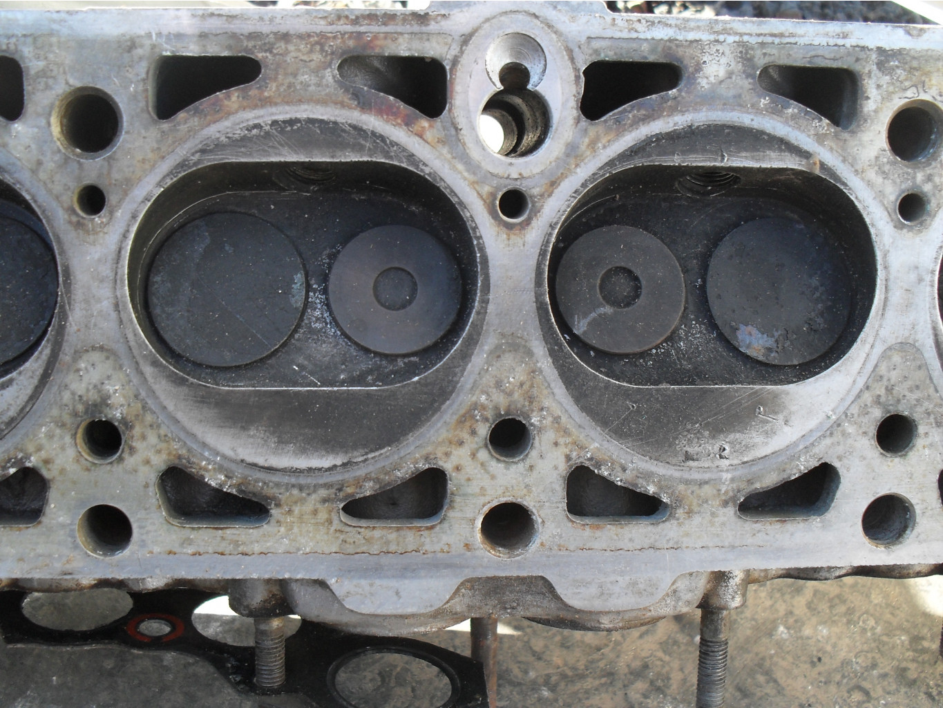SDC12435.JPG