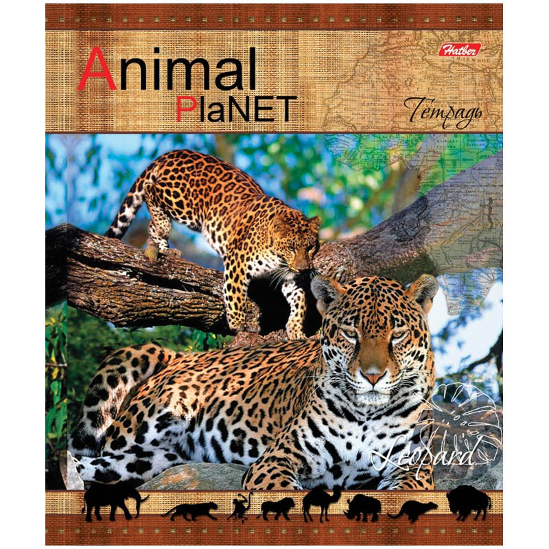 Тетрадь 48л. А5 линия Animal Planet 17,48.jpg
