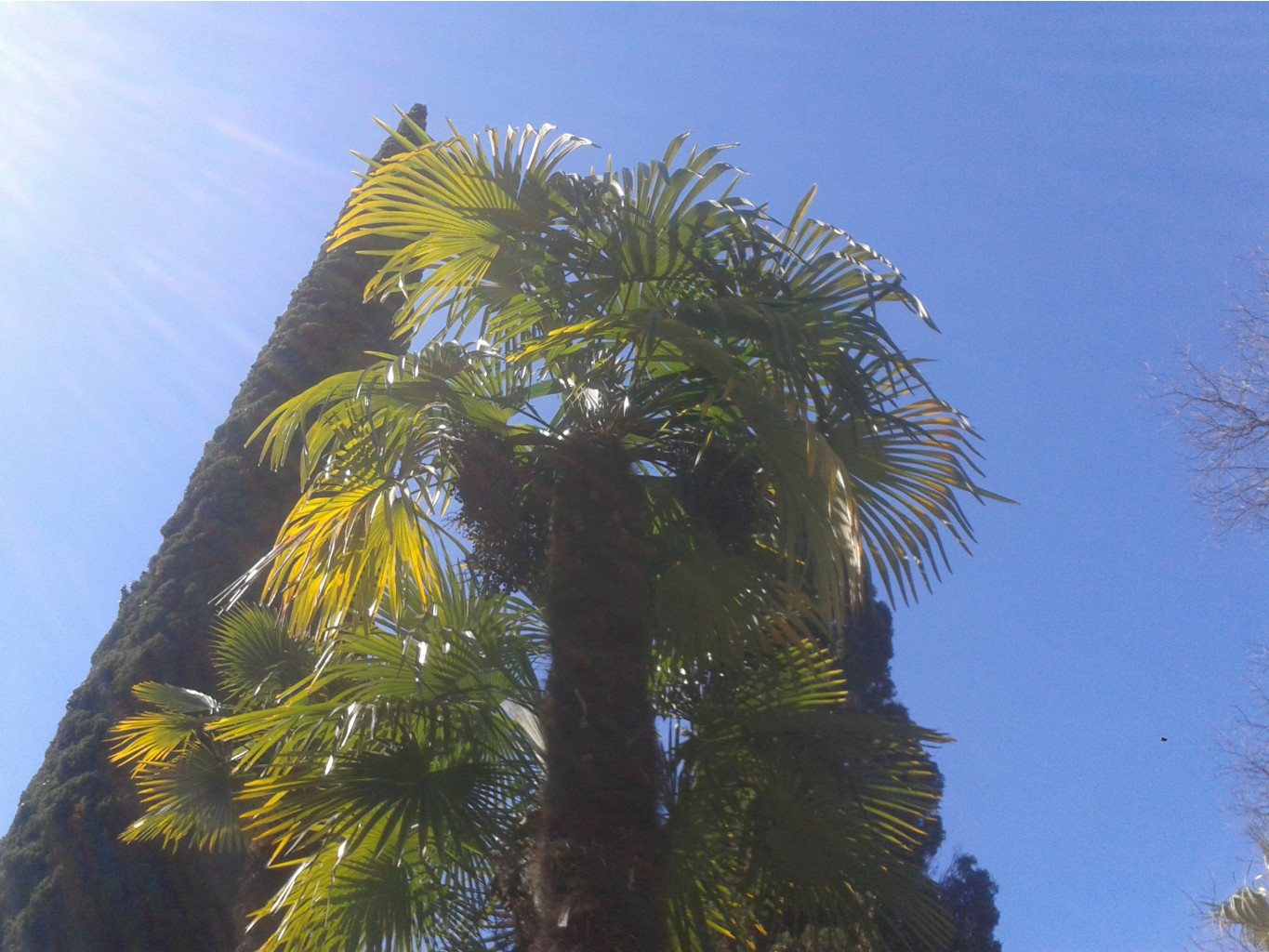 20150403_111105.jpg